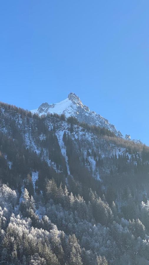 Chamois De Chamonix, Confortable 2 Pieces, Balcon, Parking Gratuit Exteriér fotografie